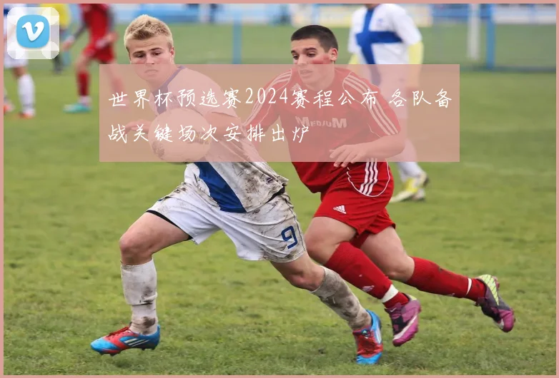 世界杯预选赛2024赛程公布 各队备战关键场次安排出炉